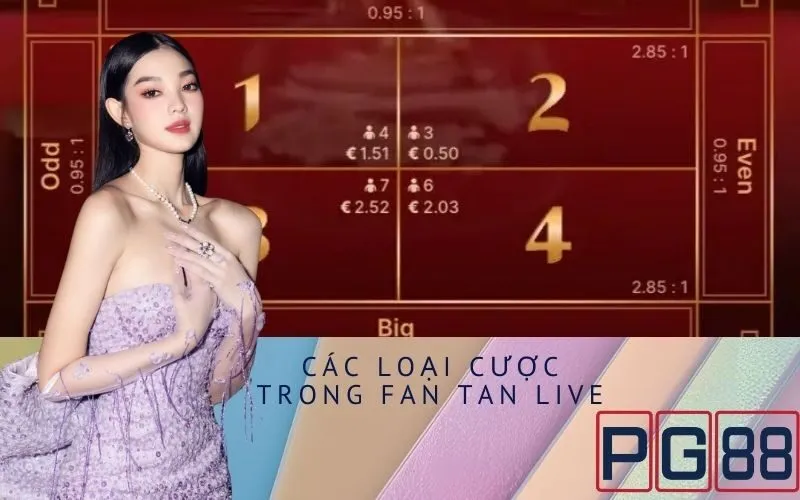 Các Loại Cược Trong Fan Tan Live