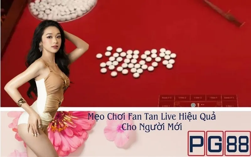 Mẹo Chơi Fan Tan Live Hiệu Quả Cho Người Mới