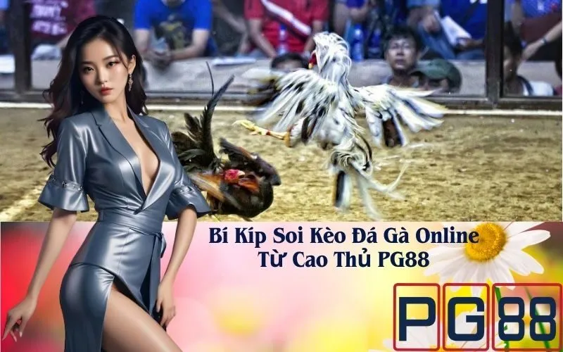 Bí Kíp Soi Kèo Đá Gà Online Từ Cao Thủ PG88