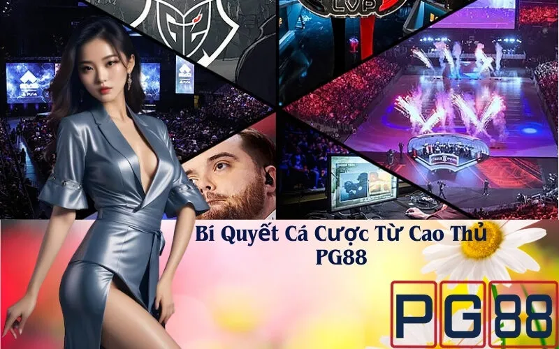 Bí Quyết Cá Cược Từ Cao Thủ PG88