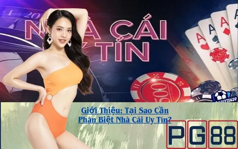 Giới Thiệu: Tại Sao Cần Phân Biệt Nhà Cái Uy Tín?