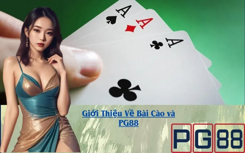 Giới Thiệu Về Bài Cào và PG88