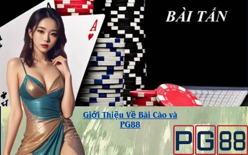 Giới Thiệu Về Bài Tấn và PG88