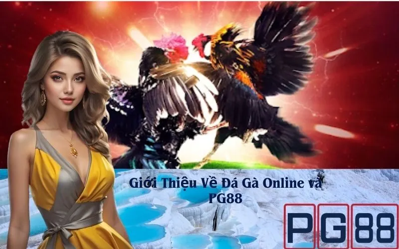 Giới Thiệu Về Đá Gà Online và PG88